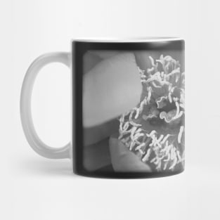 Vintage flower on a black and white film Mug